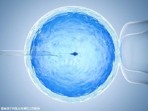 林院长